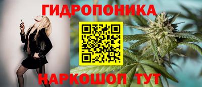 стаф Бугуруслан
