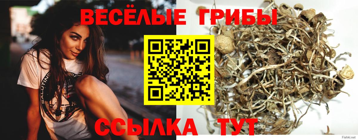 Псков  Галлюциногенные грибы мицелий  Псилоцибиновые грибы GOLDEN TEACHER  Вход с VPN 